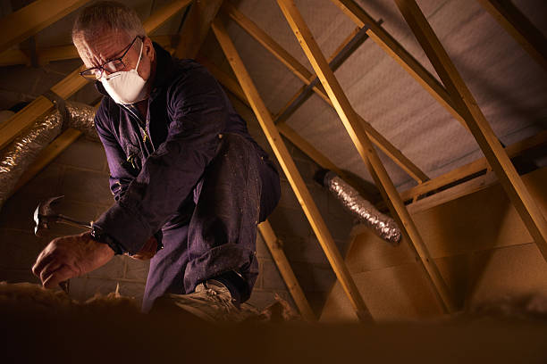 Best Insulation Maintenance and Repair in The Village, OK